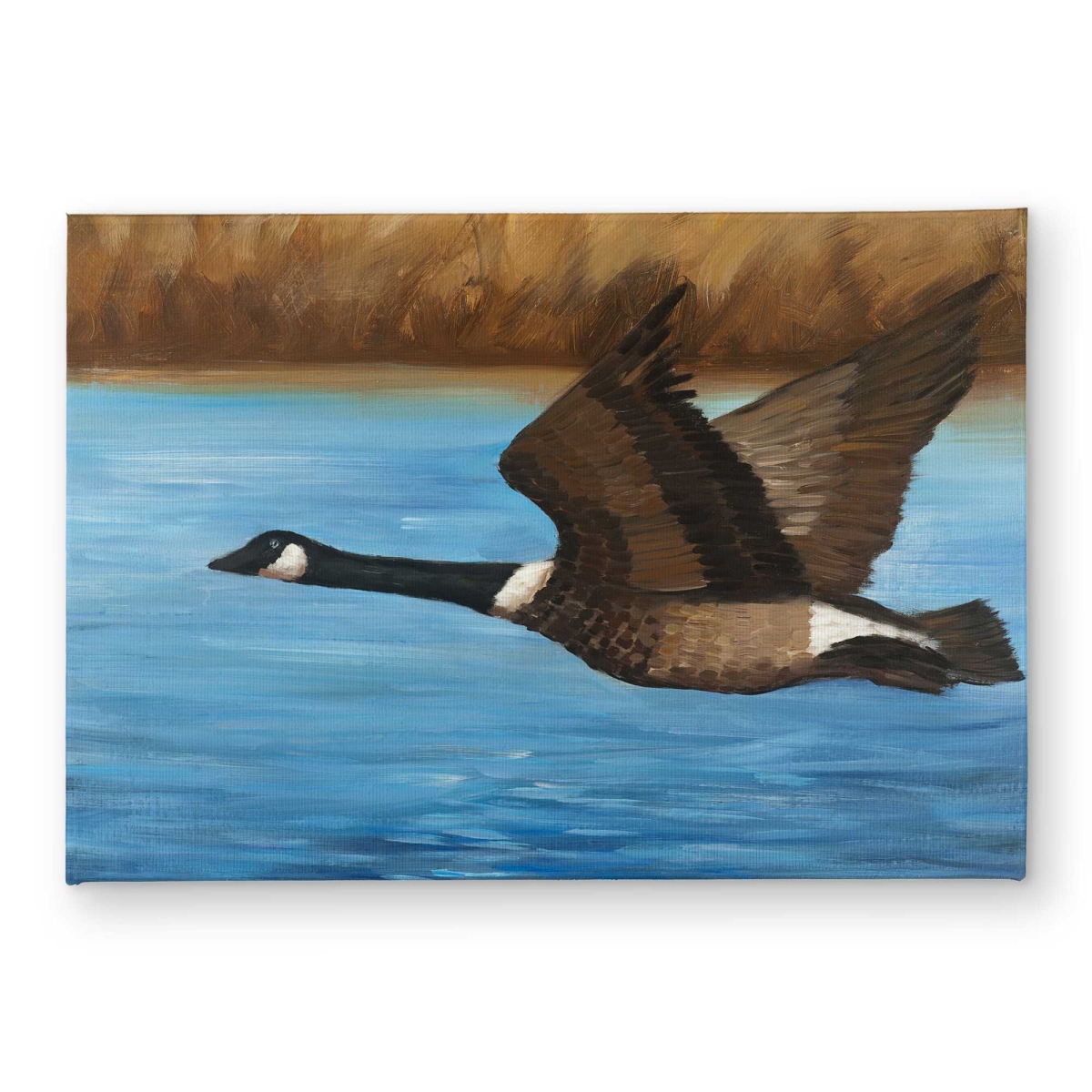 CODM172485555Q 17 x 24 in. Canada Goose Coastal Brown Indoor & Outdoor Door Mat - Decor