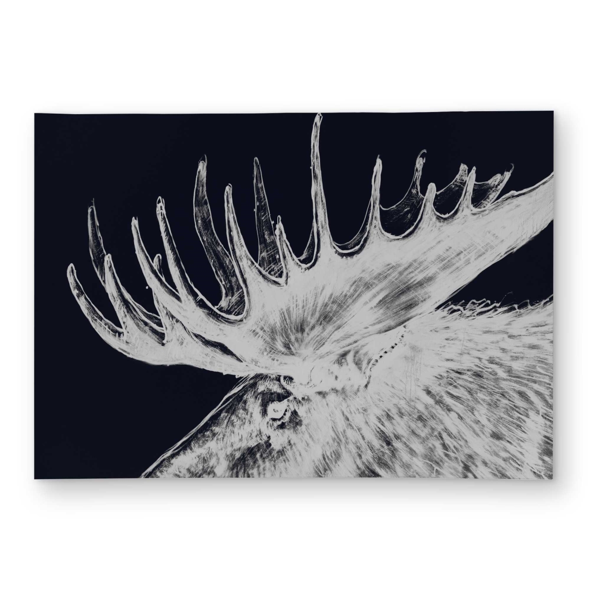 C1ROAR571DNTXZ 5 x 7 ft. Big Moose Plume - Animals Blue Outdoor Rectangle Area Rug for Home