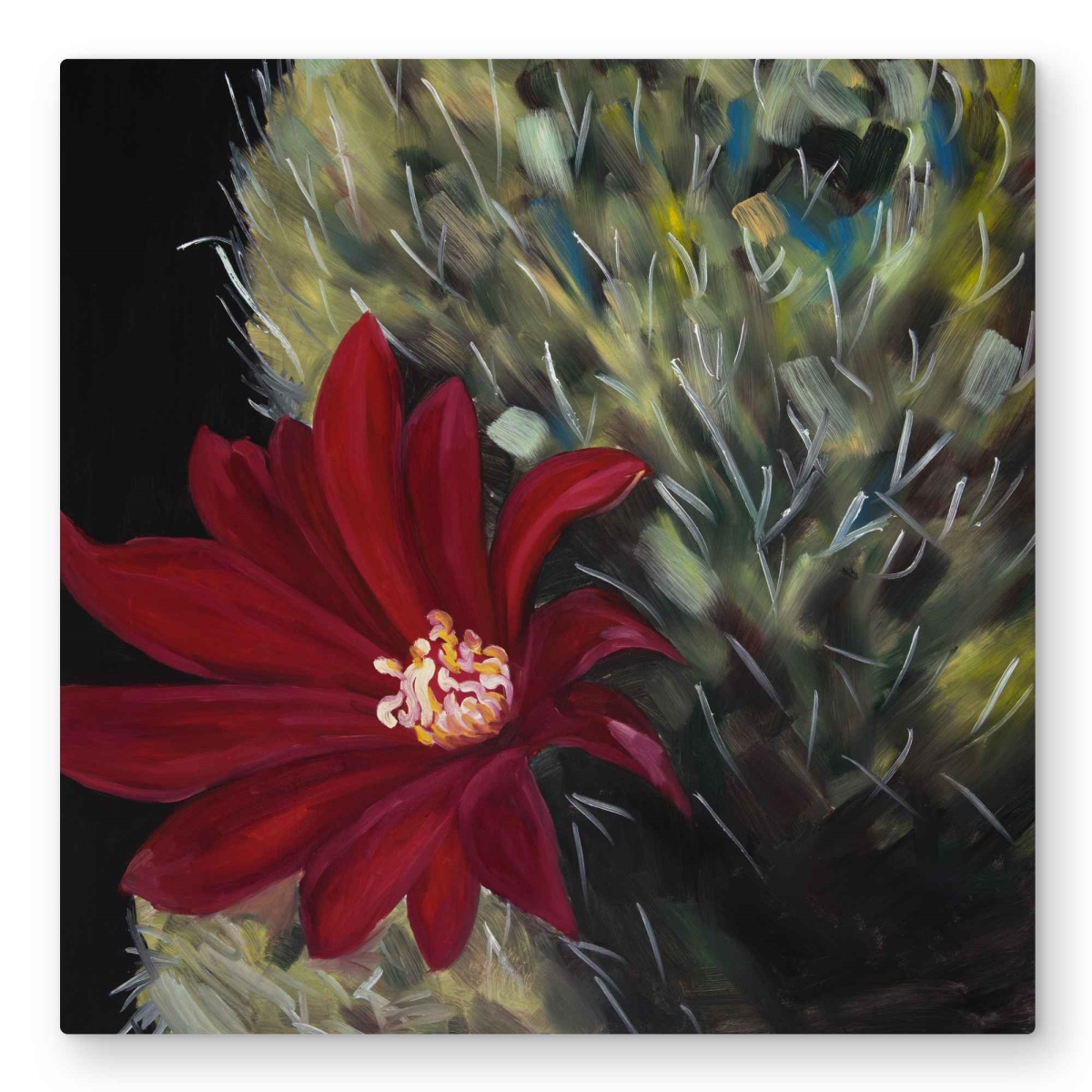 C1MP32321VMAK8 32 x 32 in. Echinopsis Red Cactus Flower Wall Art - Red Kitchen Metal Print Decor
