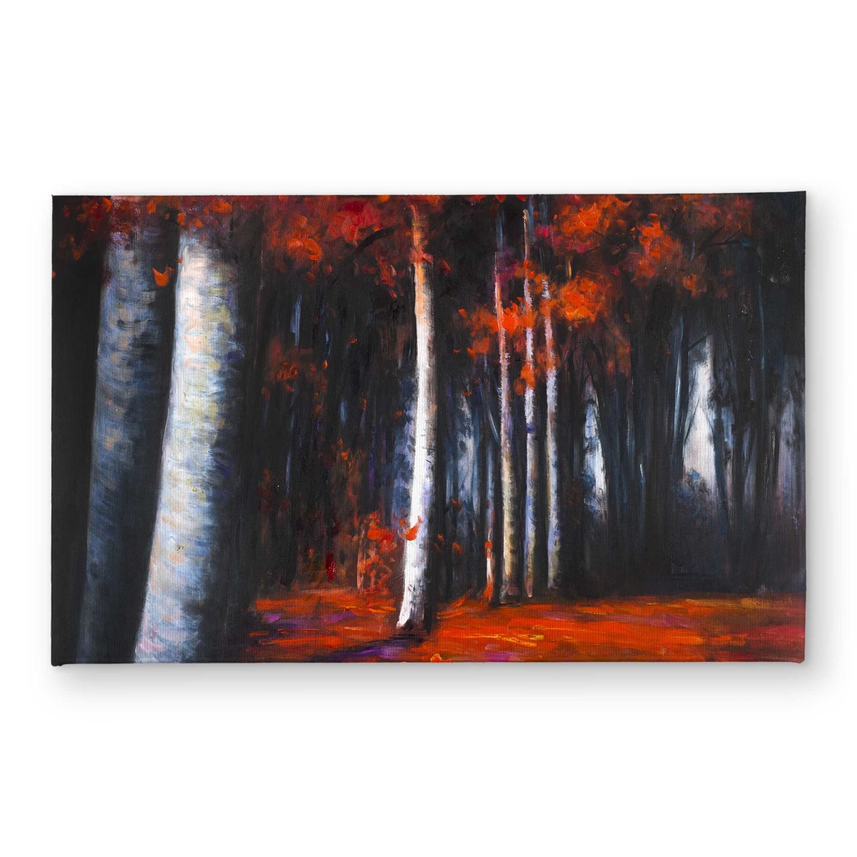 CODM2134O5NHD7 21 x 34 in. Mysterious Forest Door Mat - Landscapes Trees Home Decor