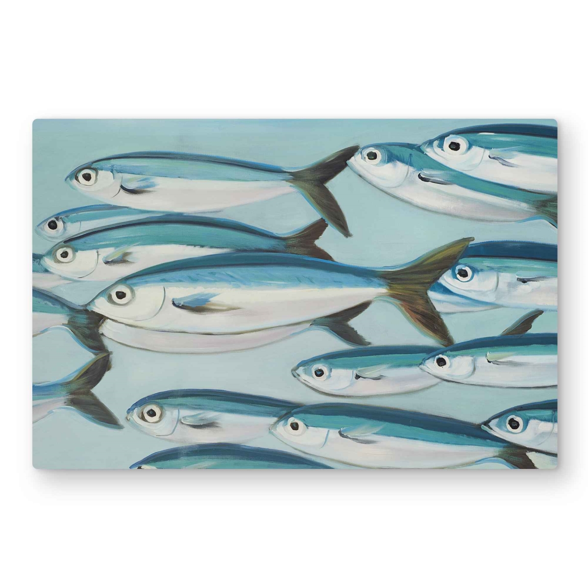 C1MP2030BD4YA4 20 x 30 in. Small Fish of Caesious Caerulaurea Wall Art - Blue Bathroom Metal Print
