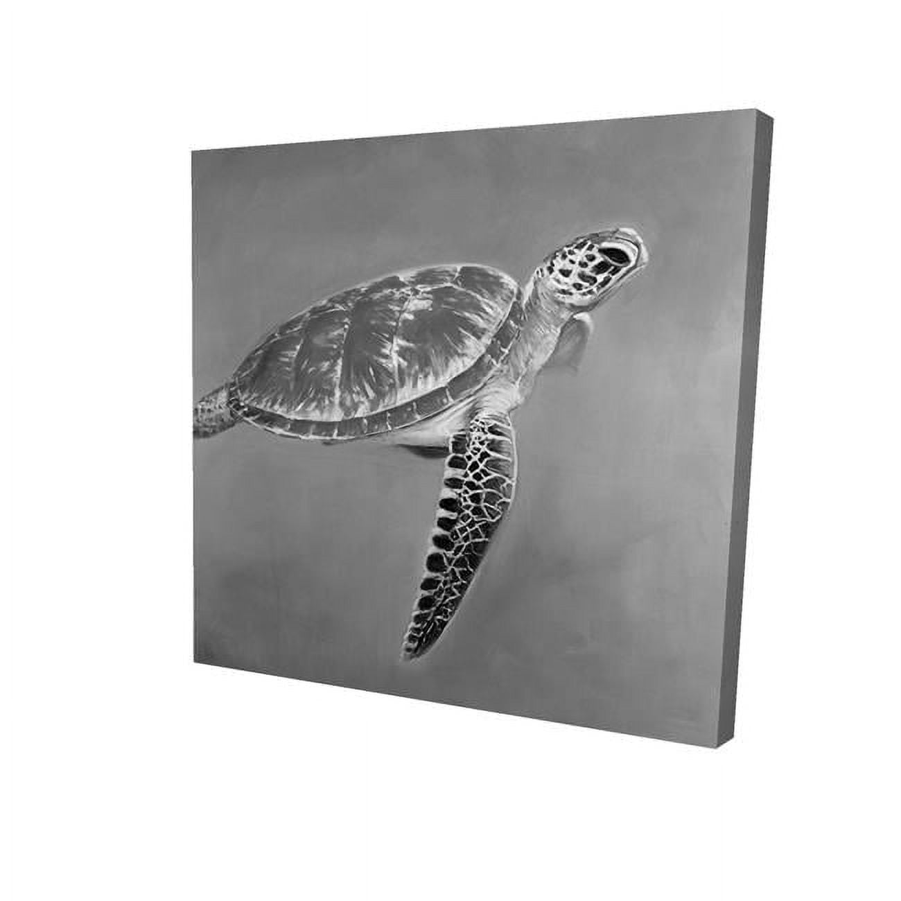 12 x 12 in. Greyscale Aquatic Turtle-Print on Canvas