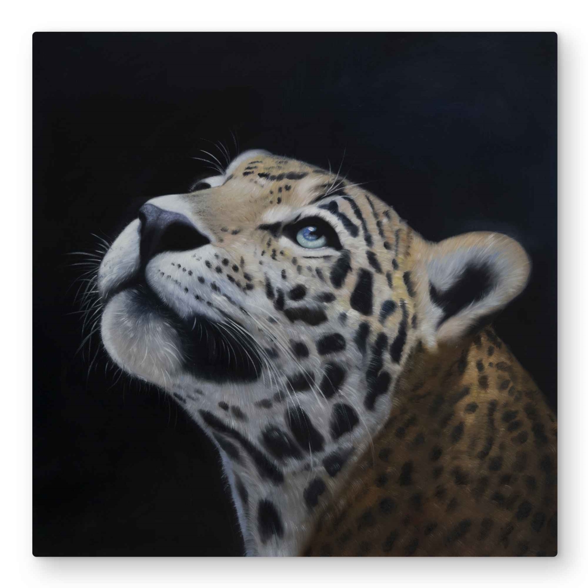 C1MP3232AB3DBH 32 x 32 in. Realistic Leopard Face - White Metal Print Wall Art for Home Decor