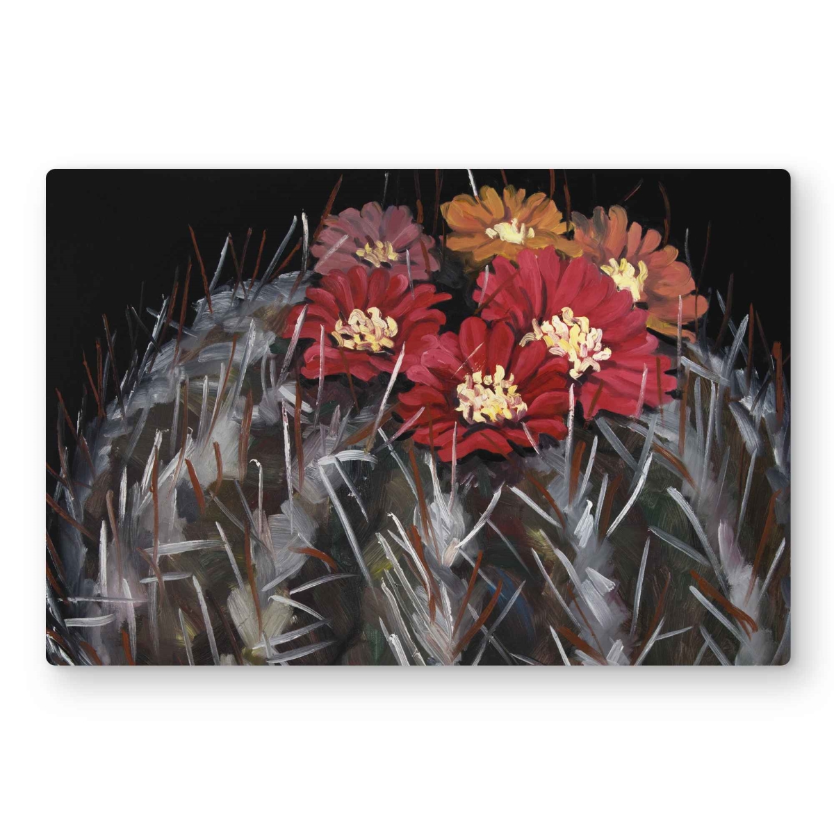 C1MP2436ZF94TB 24 x 36 in. Mammillaria Cactus In Bloom Wall Art - Black Floral Metal Print Decor