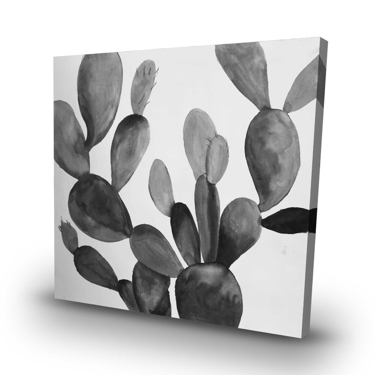 C1RC3232IKD1U5 32 x 32 in. Grayscale Cactus - Black & White Canvas Home Decor