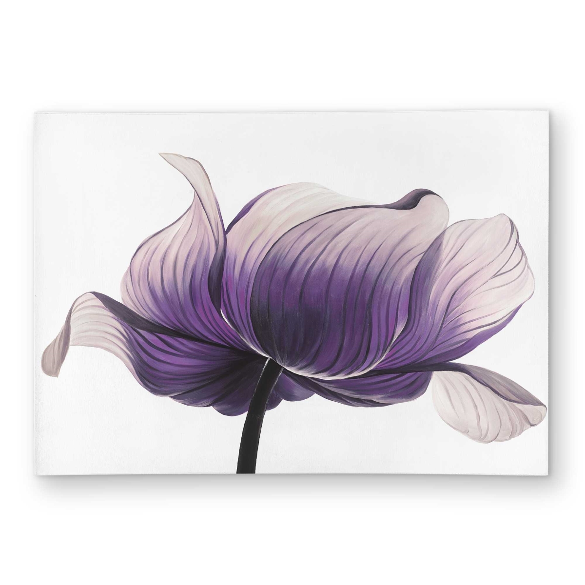 C1ROAR57KYDD37 5 x 7 ft. Purple Anemone Flower - Contemporary Outdoor Rectangle Area Rug