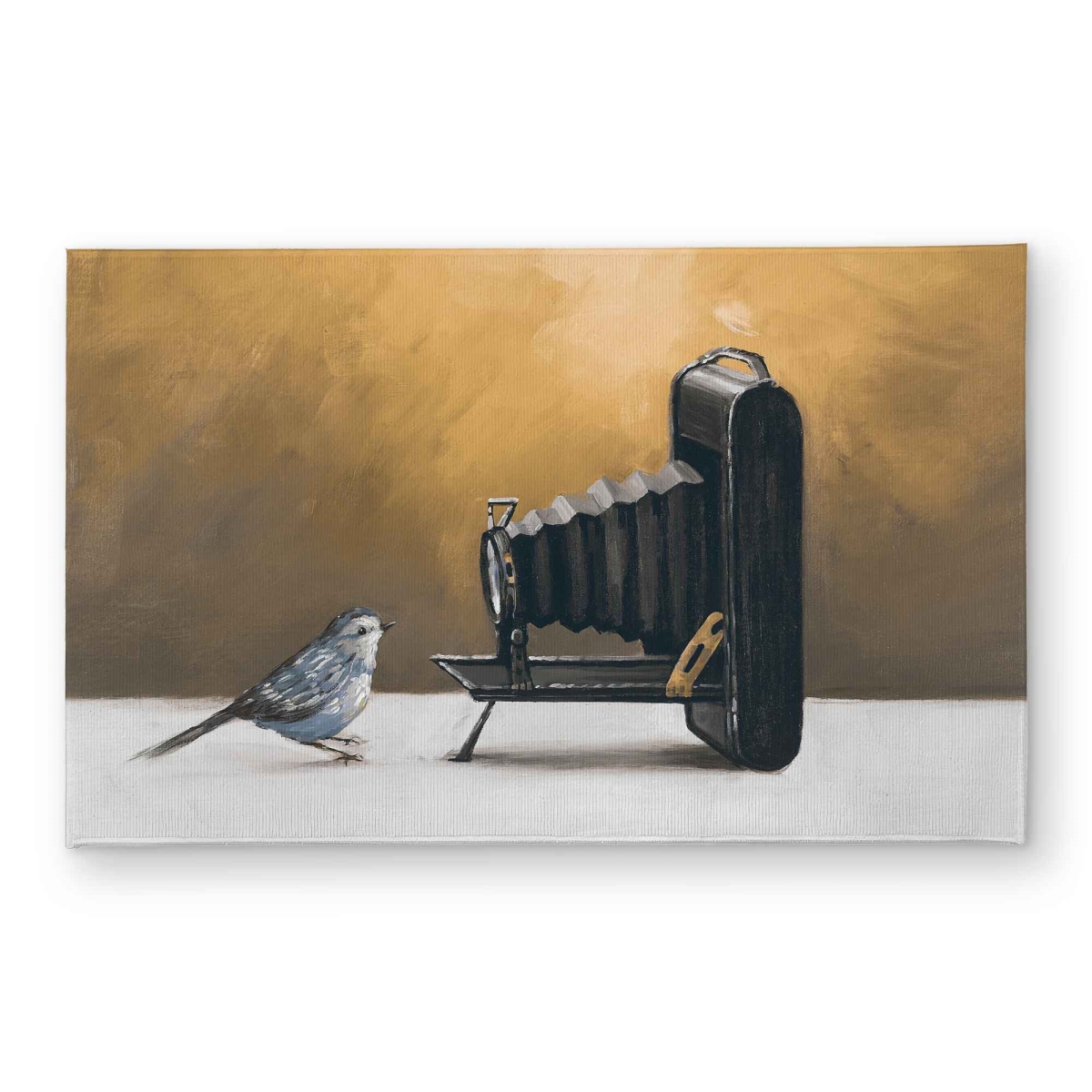 CODM2134TIQELD 21 x 34 in. Old Camera with Bird - Rustic Indoor & Outdoor Door Mat