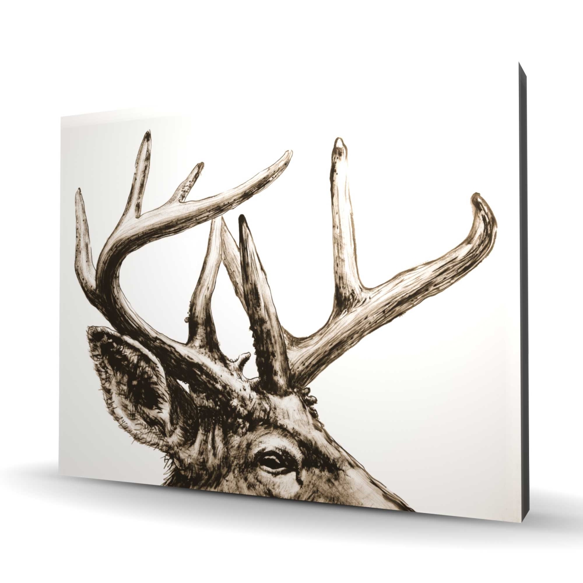C1RC48601XE7UF 48 x 60 in. Roe Deer Plume Sepia - Beige Rustic Canvas for Home Decor