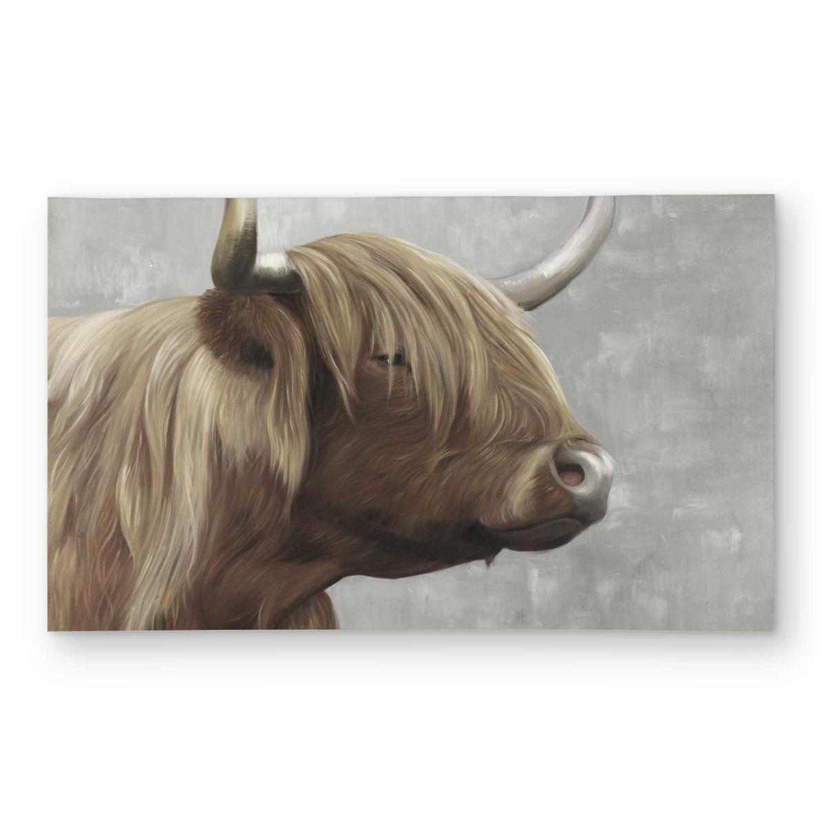 C1ROAR35NUR8L9 3 x 5 ft. Beautiful Desaturated Highland Cattle Rectangle Area Rug - Gray Outdoor