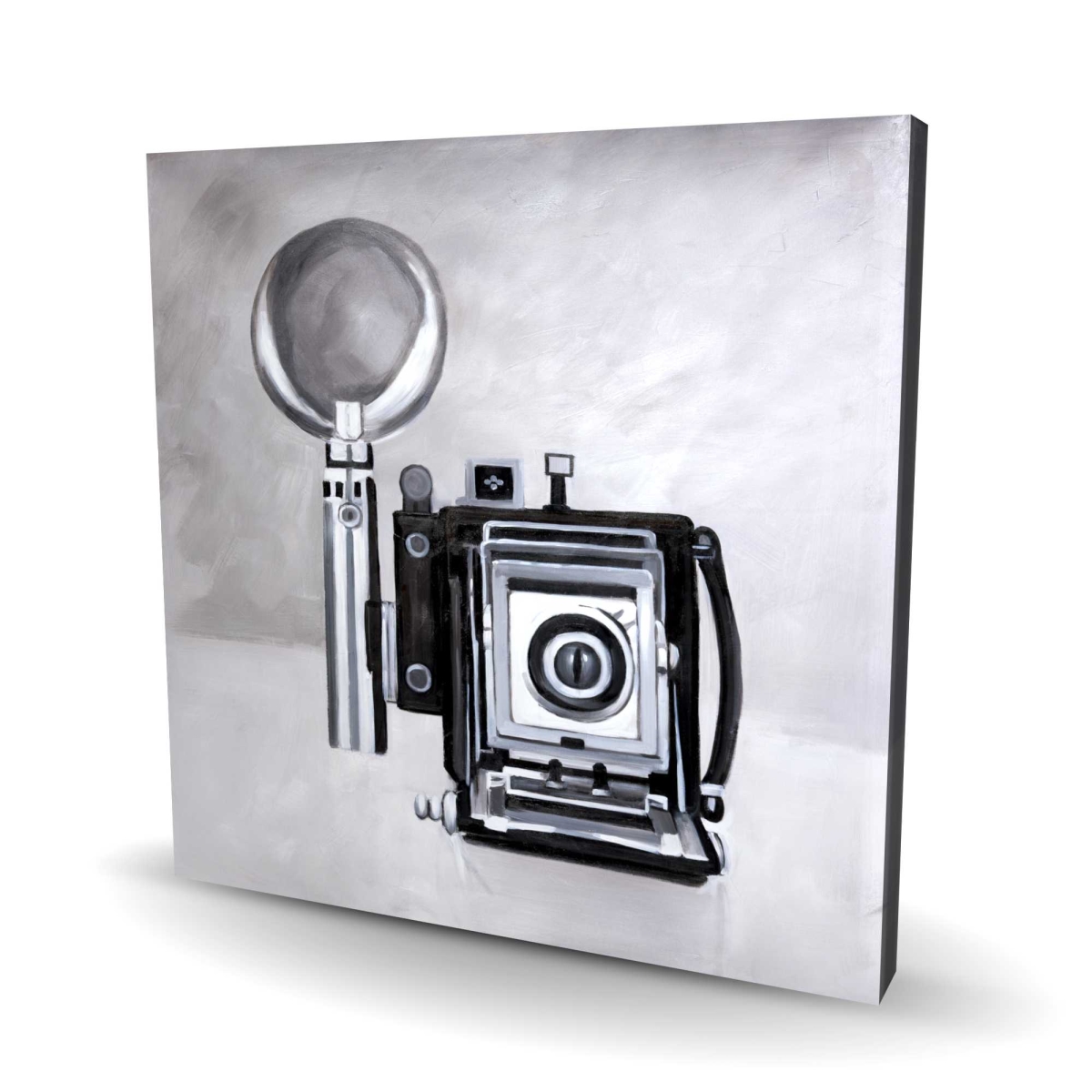 C1RC2424XB4KLU 24 x 24 in. Antique Camera Canvas - Unique Bedroom Home Decor Art