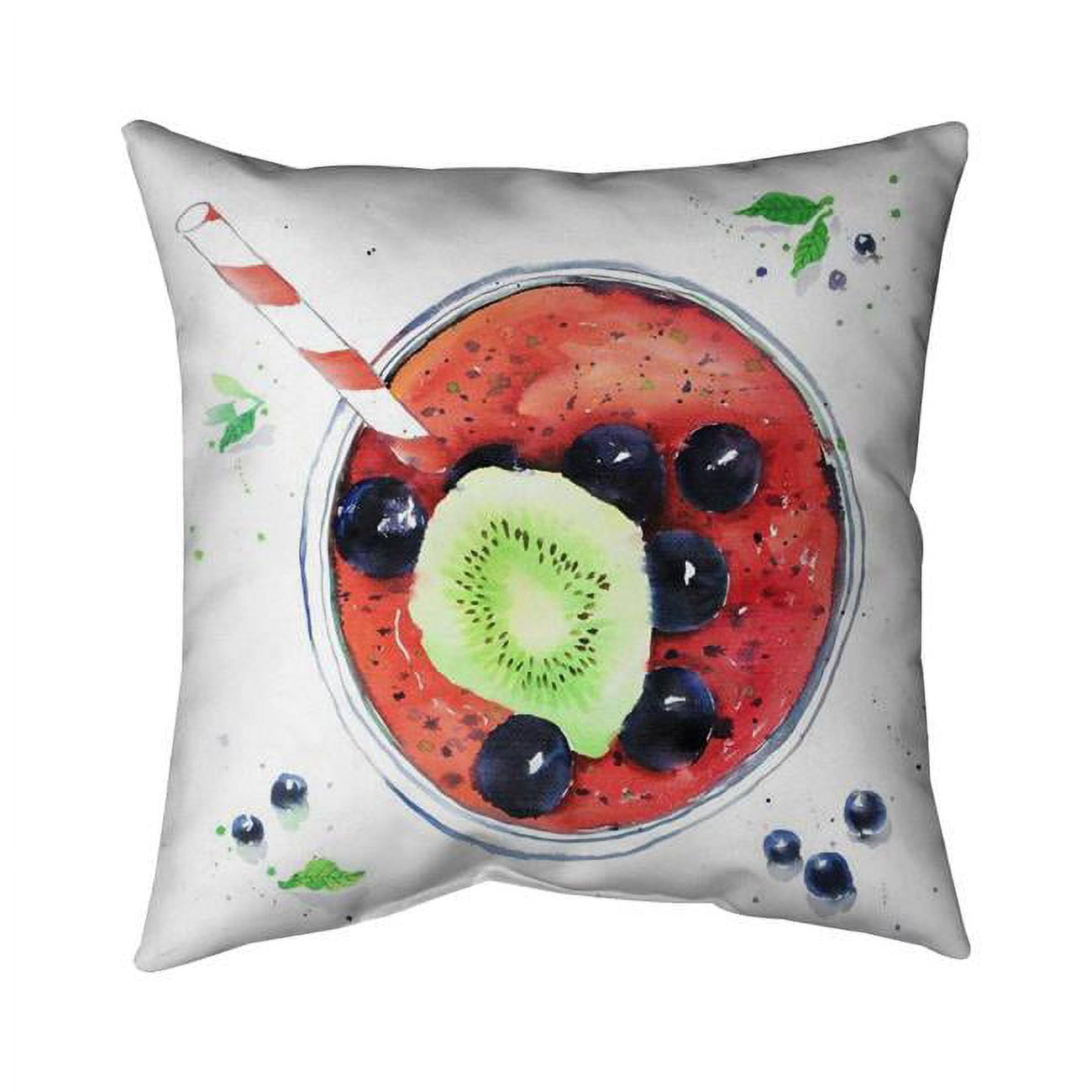 26 x 26 in. Berry Smoothies-Double Sided Print Indoor Pillow
