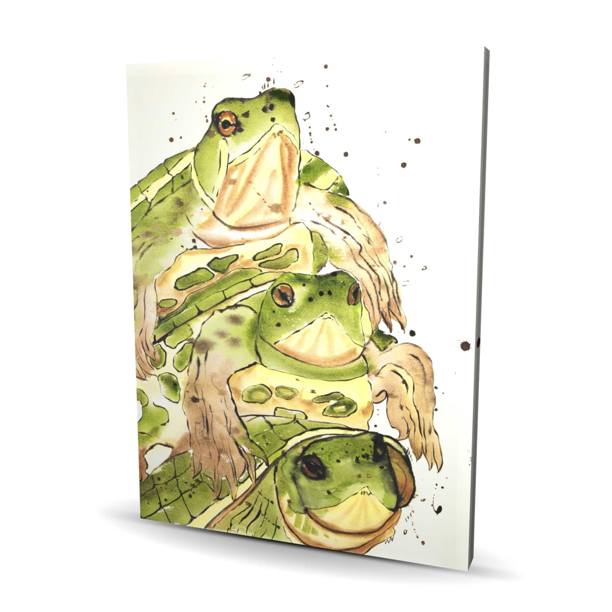 C1RC3648EXRFYY 36 x 48 in. Three Aquatic Turtles Canvas - Illustrative Home Decor Art