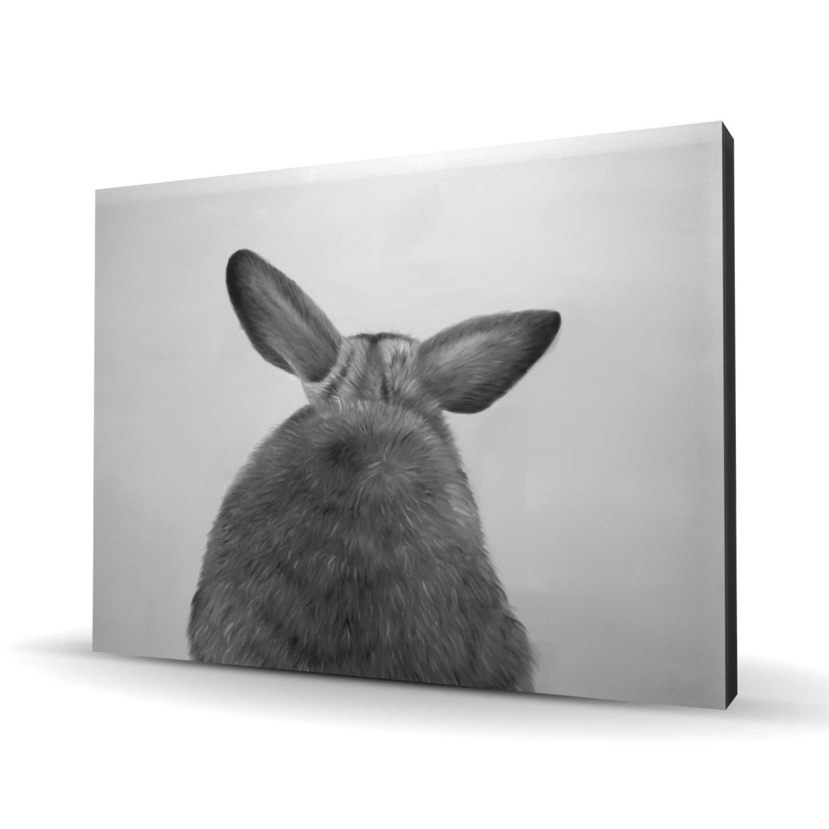 C1RC3648KPP9HN 36 x 48 in. Little Rabbit From Behind - White Canvas Home Decor for Pets