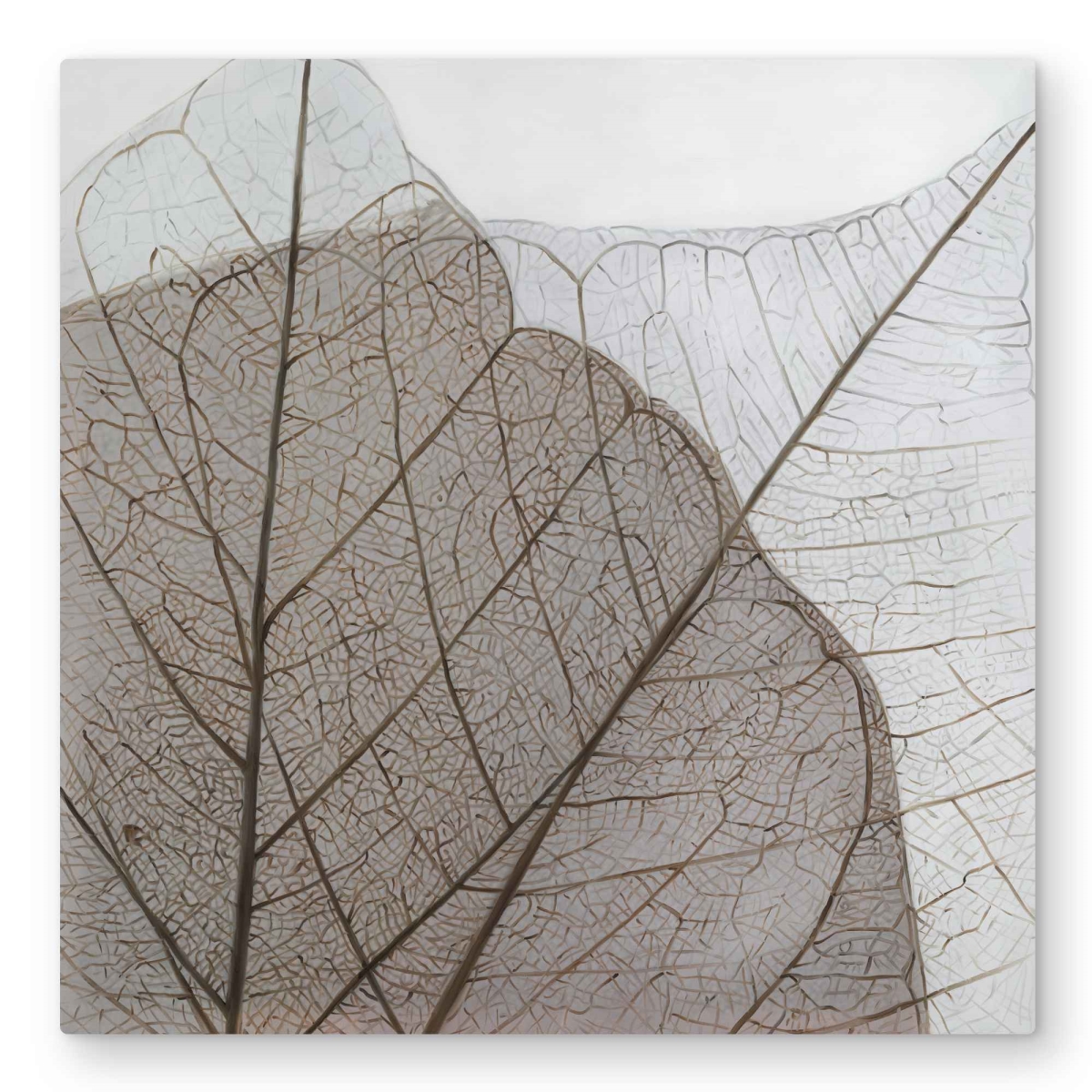 C1MP3232RKXOVG 32 x 32 in. Translucent Dried Leaves Wall Art - Beige Floral Metal Print Decor