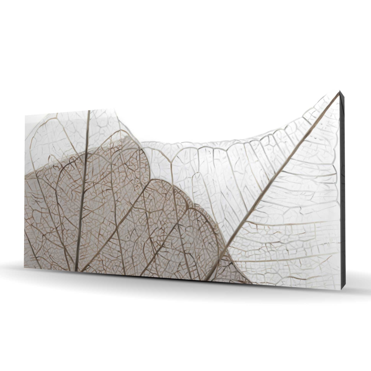 C1RC24481N3WQU 24 x 48 in. Translucent Dried Leaves - Hyperrealist Botanical Canvas
