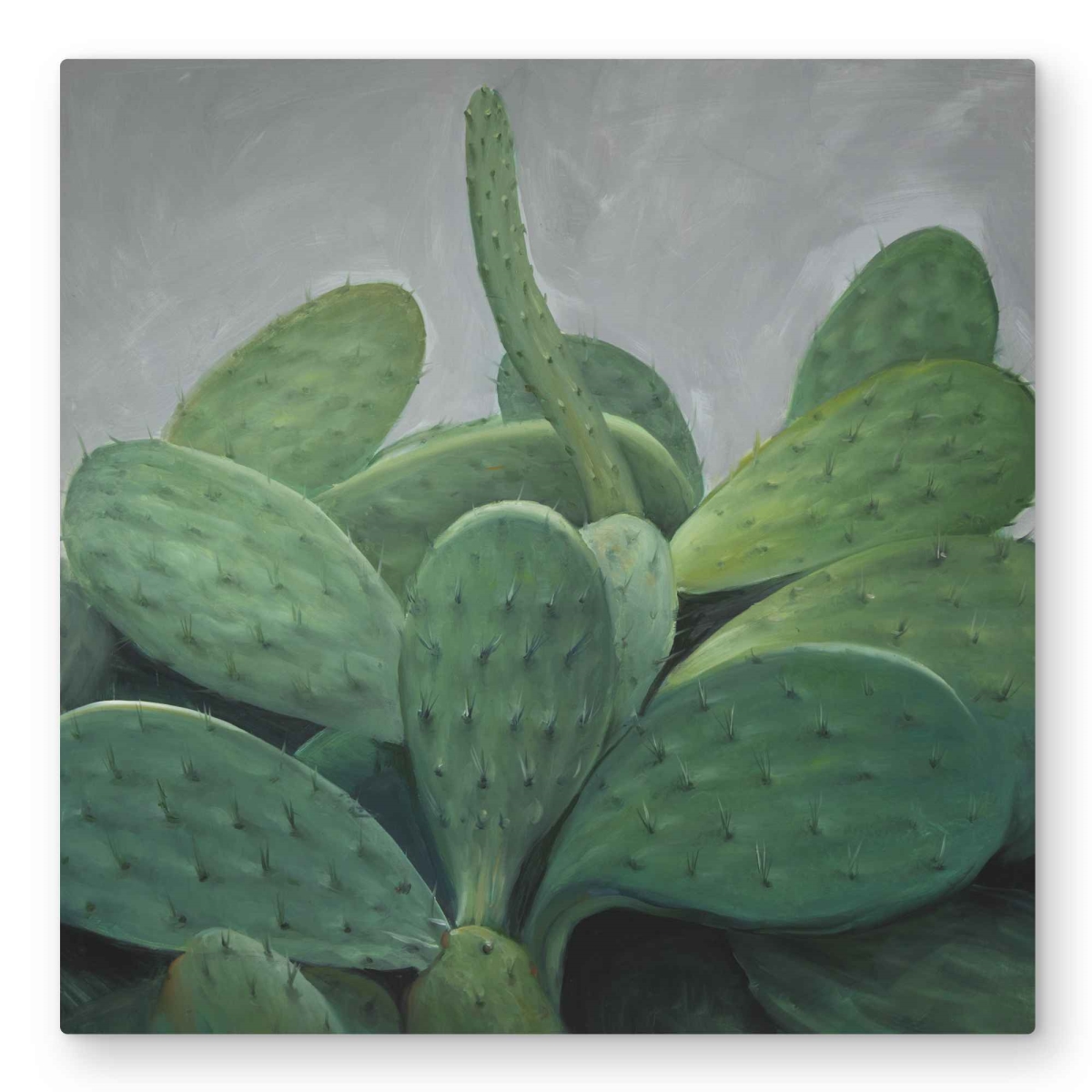 C1MP3232VF3ZY6 32 x 32 in. Cactus Bundle - Botanical Hyperrealist Metal Print Wall Art for Decor