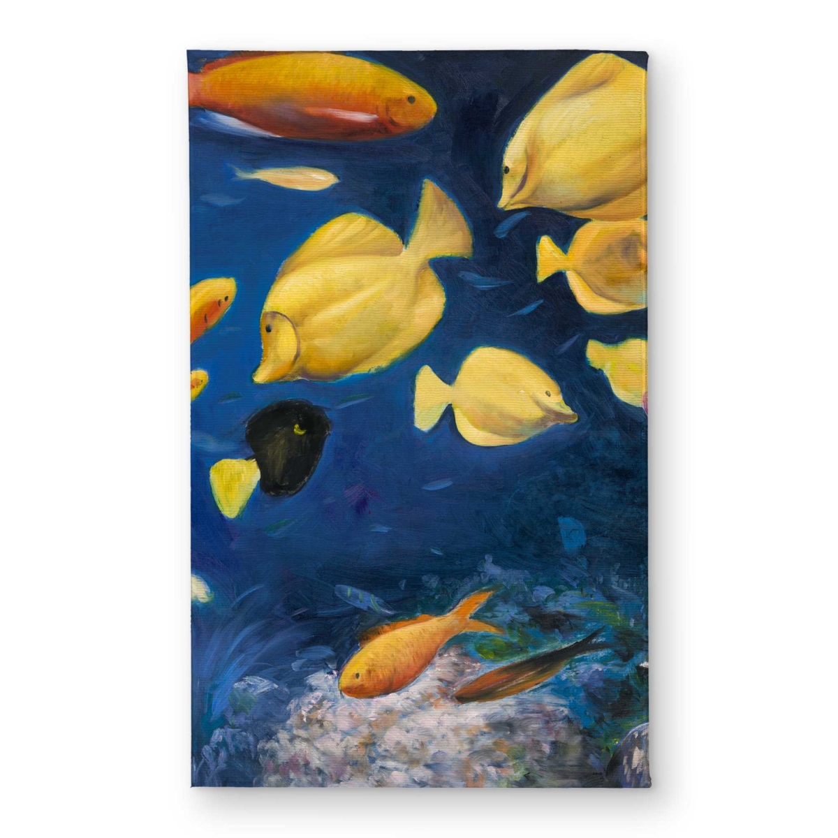 CODM21343OZGPZ 21 x 34 in. Fish Under The Sea Door Mat - Animals Bedroom Indoor & Outdoor