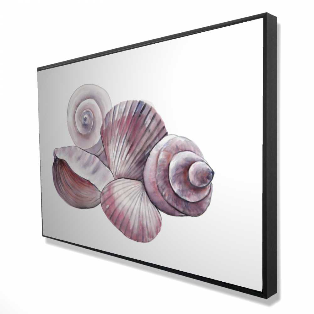 2081-2436-CO129 24 x 36 in. Seaside Shells - Coastal Beach Framed Canvas for Home Decor