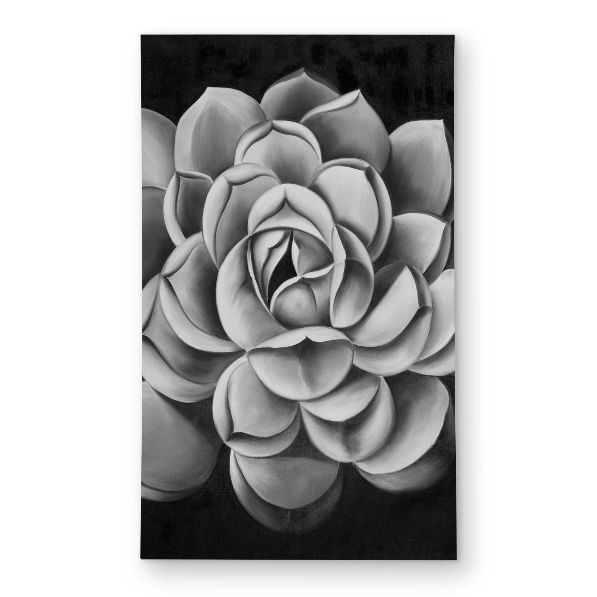 C1ROAR35U4QP1D 3 x 5 ft. Black & White Succulent Rectangle Area Rug - Floral Botanical Home Decor