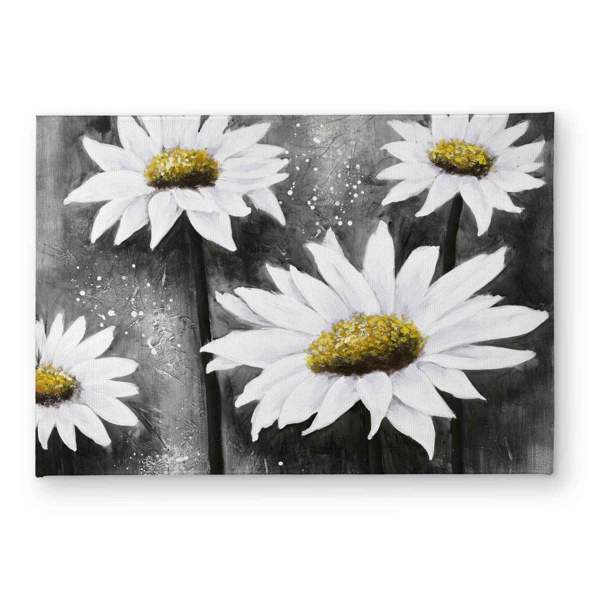 CODM1724YM2IBH 17 x 24 in. Daisies At Sun - Rustic Office Indoor & Outdoor Door Mat
