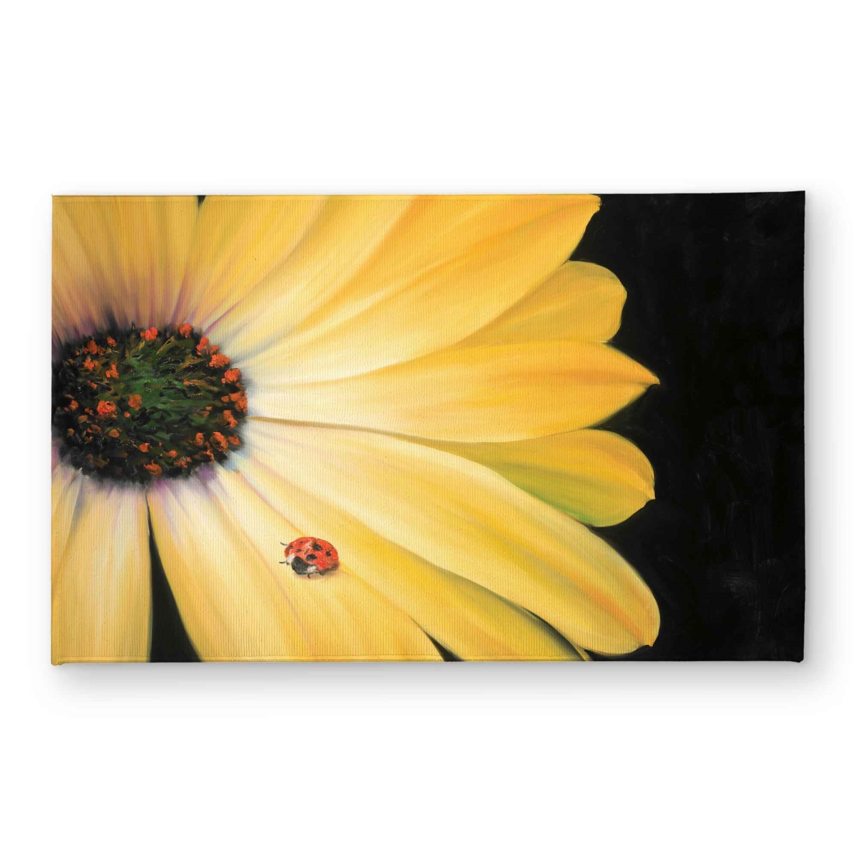 CODM2134VAUK3X 21 x 34 in. Yellow Daisy & Ladybug Door Mat - Botanical Home Decor