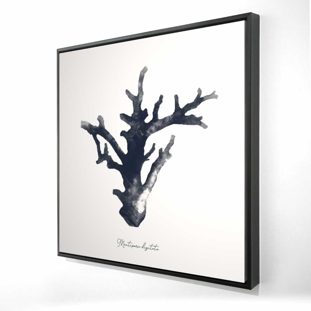 2081-3636-CO54-1 36 x 36 in. Montipora Digitata - Coastal Beach Framed Canvas Decor