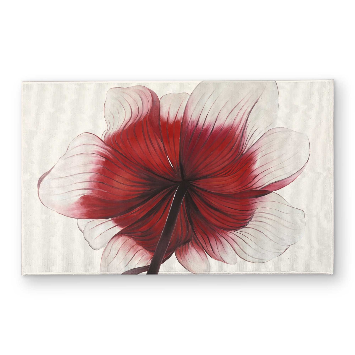 CODM2134NPZV12 21 x 34 in. Anemone Red Flower Door Mat - Black Romantic Home Decor