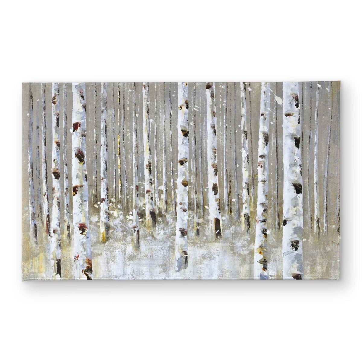 CODM21347NS945 21 x 34 in. Birch Forest by Winter - Modern Trees Door Mat
