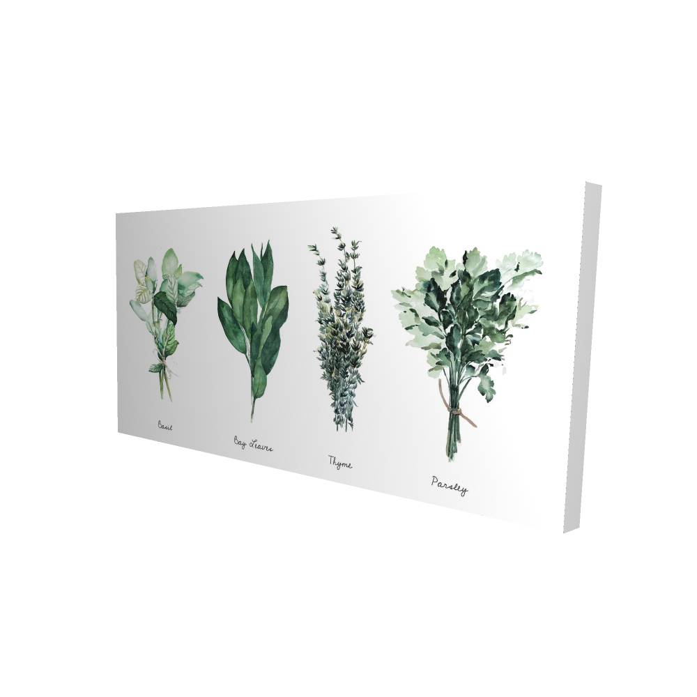 2080-2448-GA124 24 x 48 in. Fine Herbs - Green Kitchen Canvas for Home Decor - Wall Art