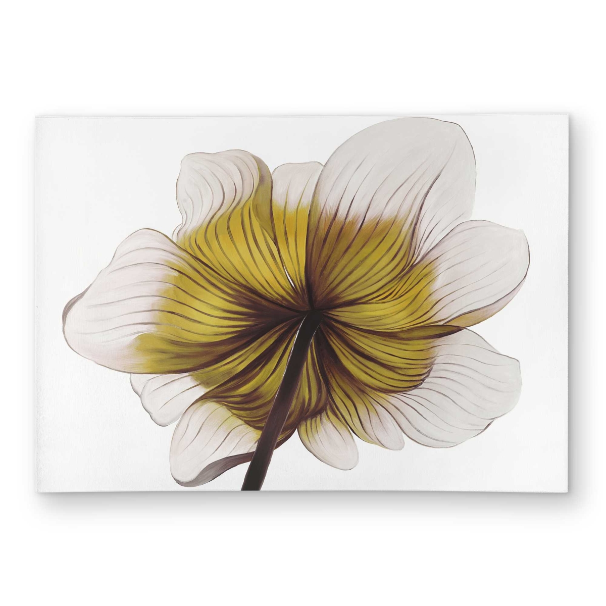 C1ROAR573M7XML 5 x 7 ft. Beautiful Anemone Yellow Flower Rectangle Area Rug - Rustic Outdoor Decor
