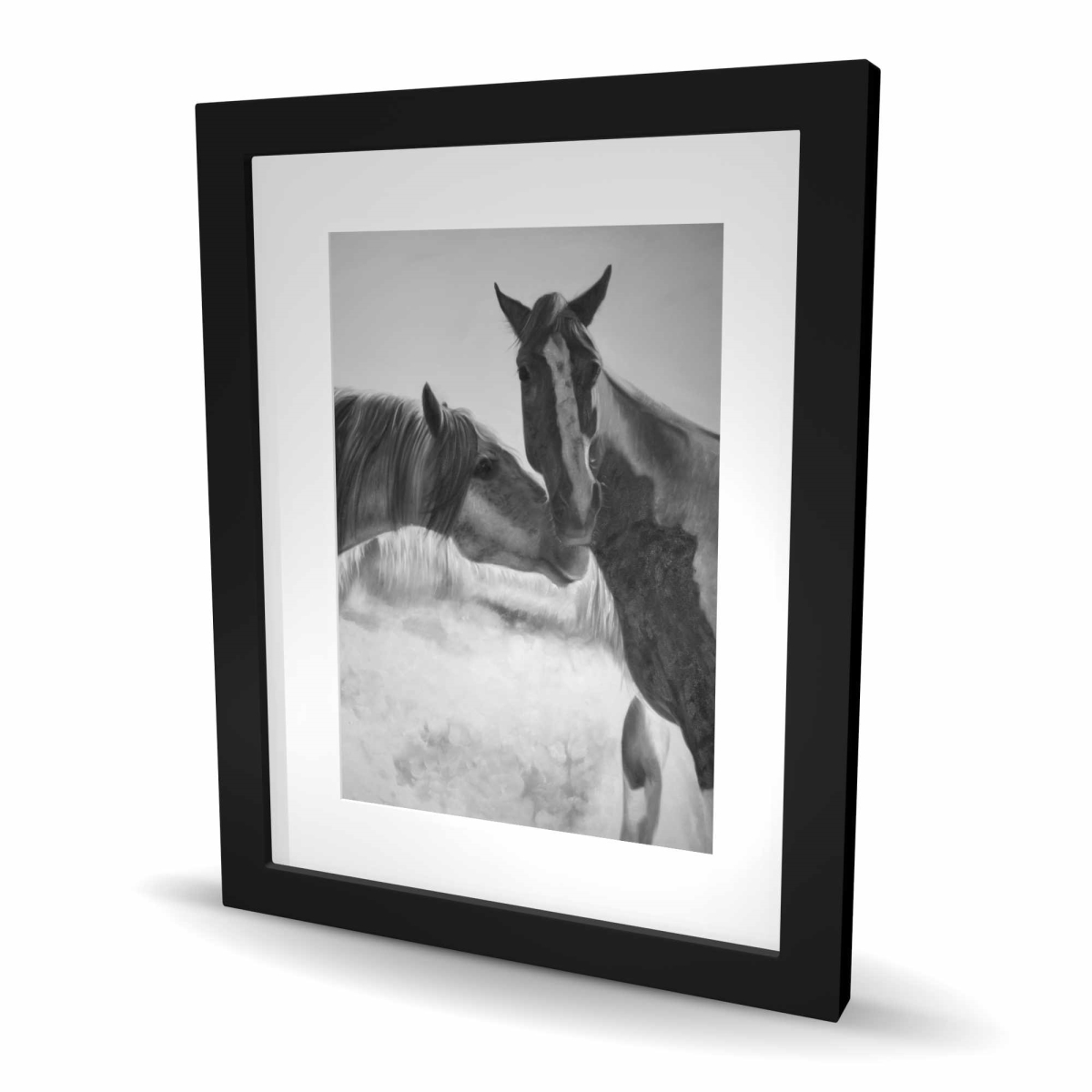 C1FM1620MB43B3 16 x 20 in. Horses Lover - Black Framed Matted Print Wall Art - Home Decor Art