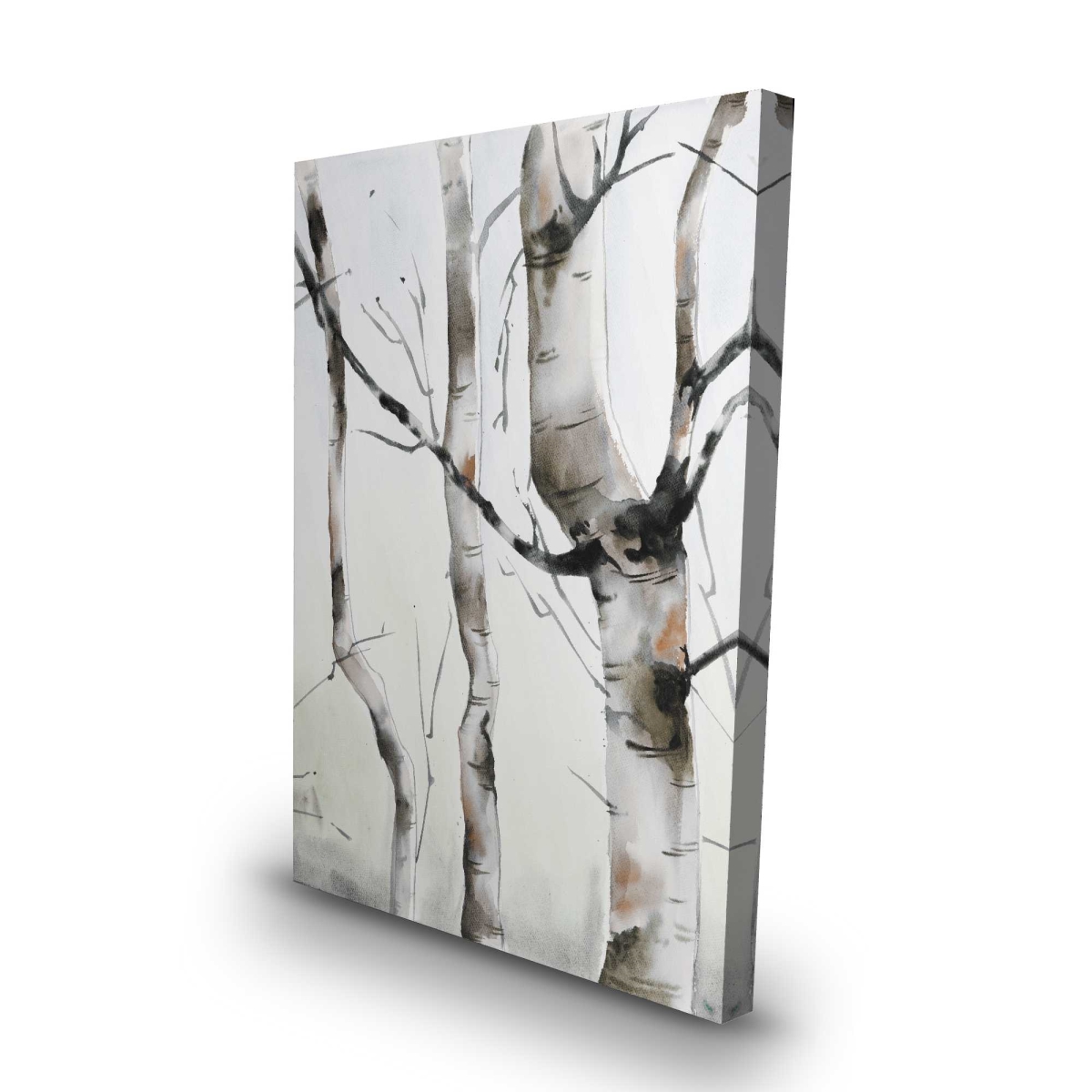 C1RC2436ZIQT9N 24 x 36 in. Three Birches Trees - Minimalist Brown Canvas Home Decor