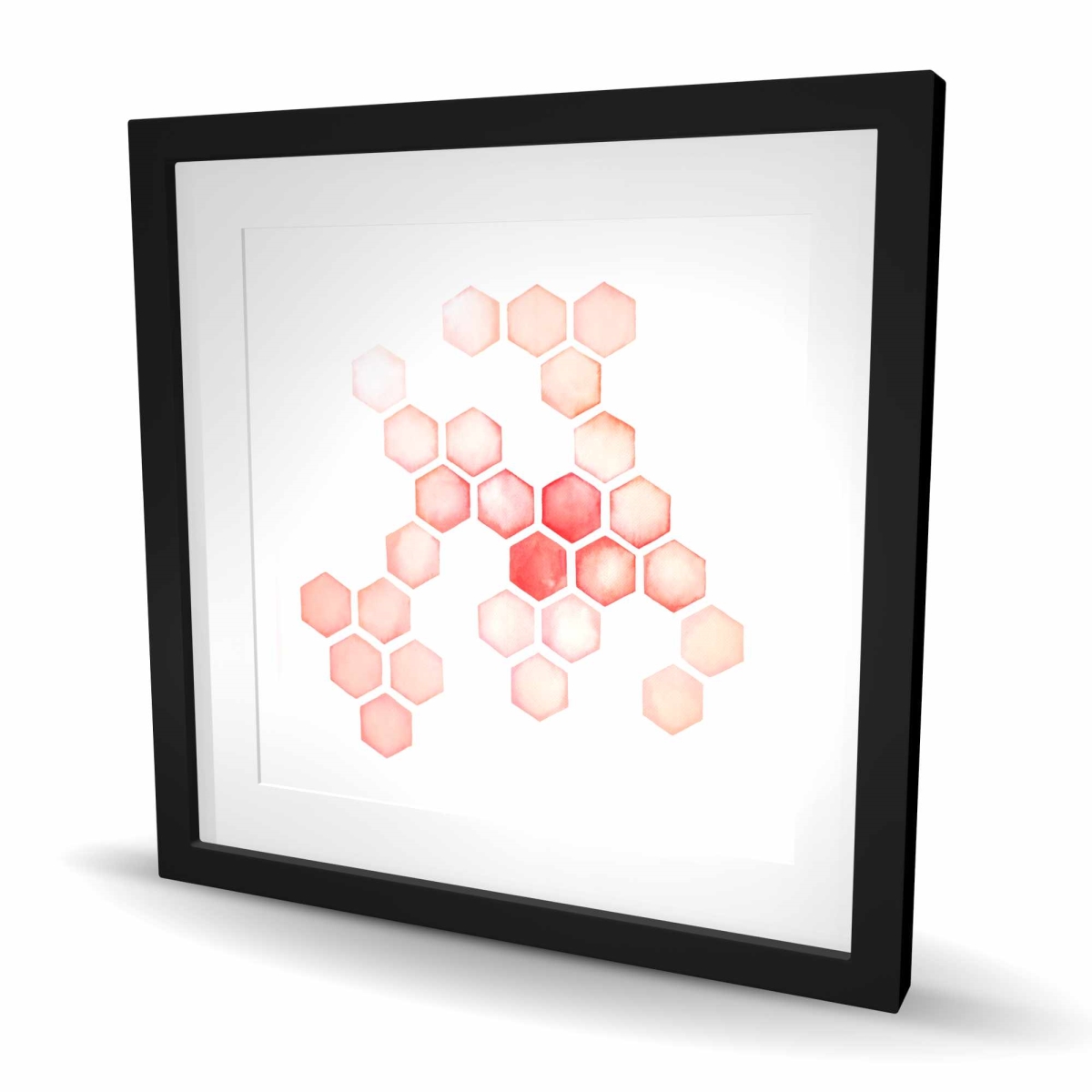 C1FM24240X1SCI 24 x 24 in. Multiple Alveoles - Framed Matted Print Wall Art - Home Decor Art