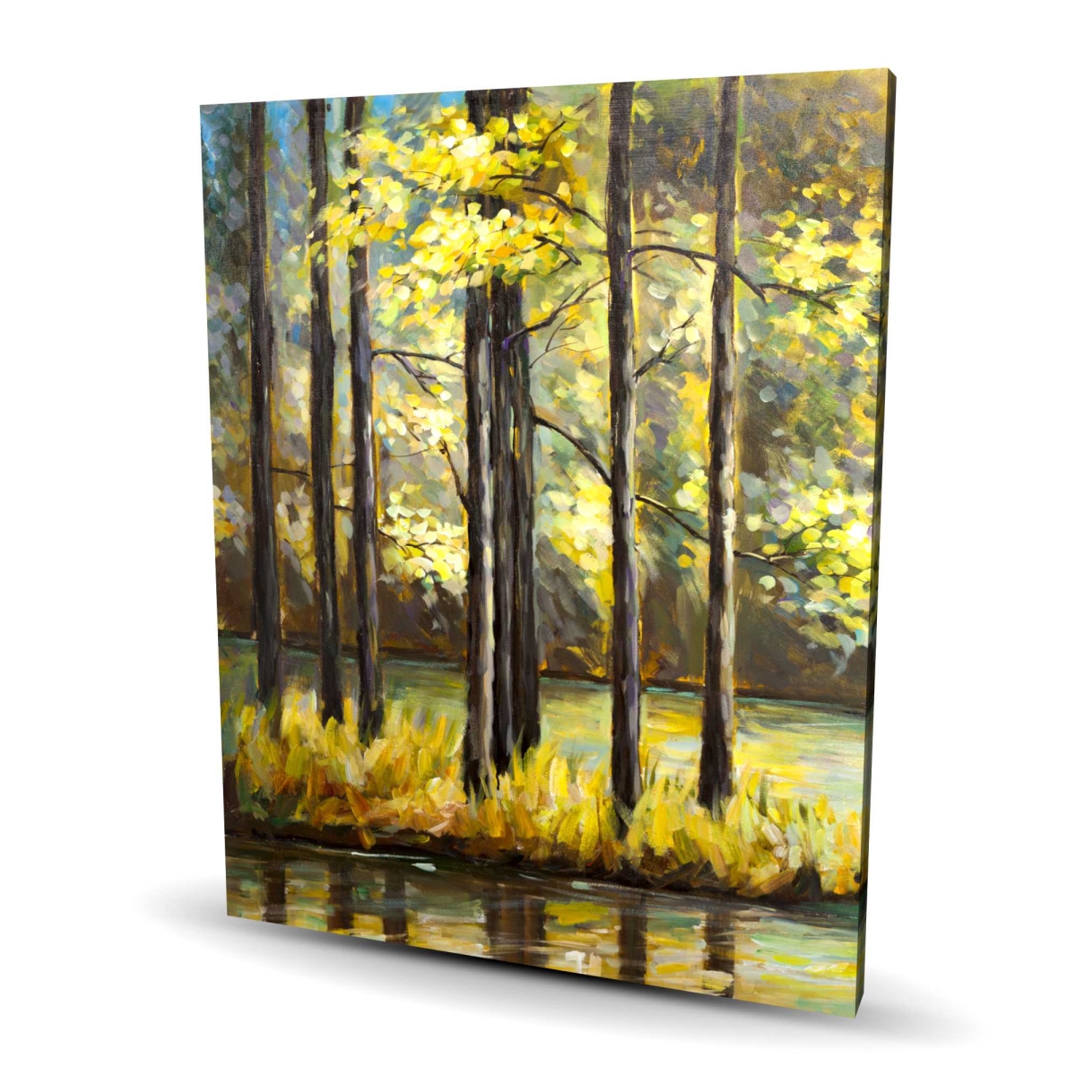 C1RC48607EAACJ 48 x 60 in. Trees in the Middle of the Lake - Contemporary Canvas Art