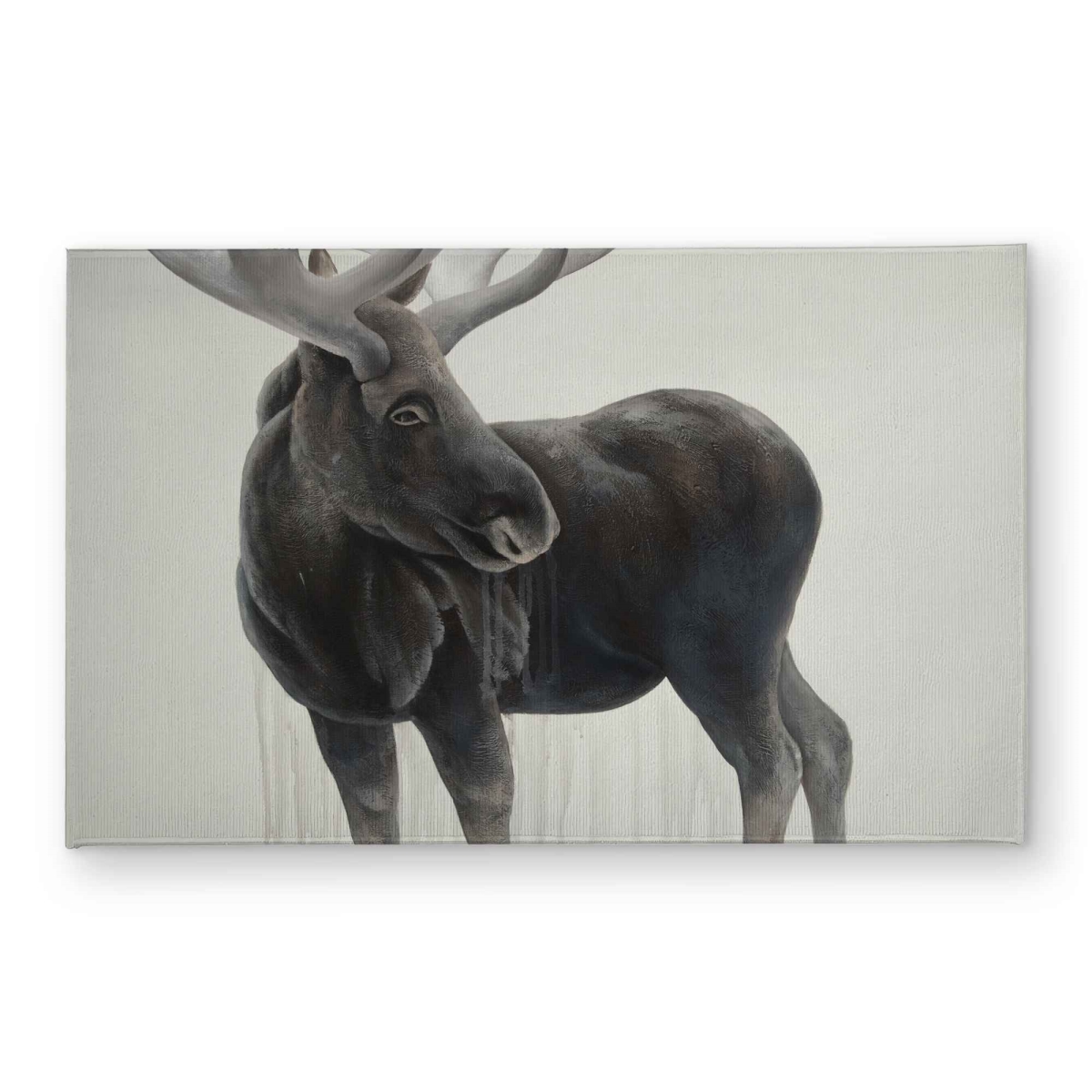 CODM2134PMDIDD 21 x 34 in. Bull Moose Brown Rustic Indoor & Outdoor Door Mat - Home Decor