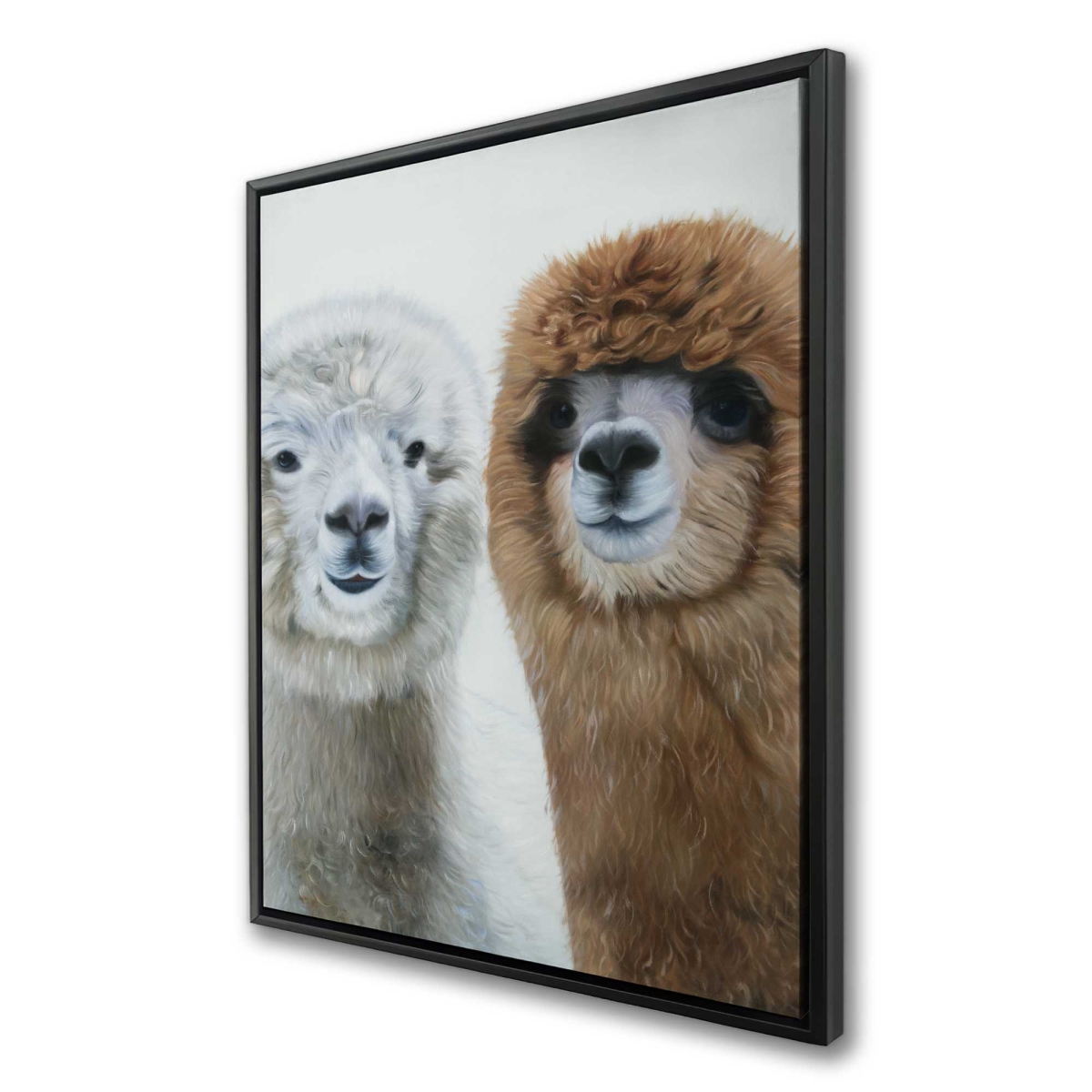 C1FC3648E36MN4 36 x 48 in. Two Lamas - White Farm Animals Framed Canvas for Home Decor