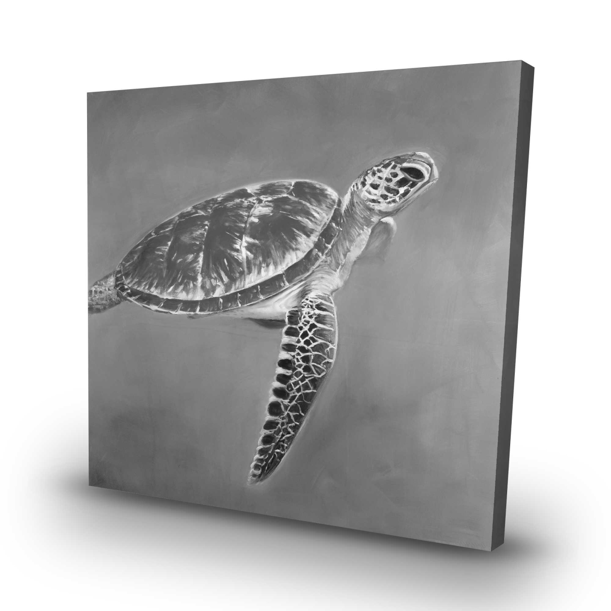 C1RC3232XV203A 32 x 32 in. Grayscale Aquatic Turtle - Coastal Bathroom Canvas Decor