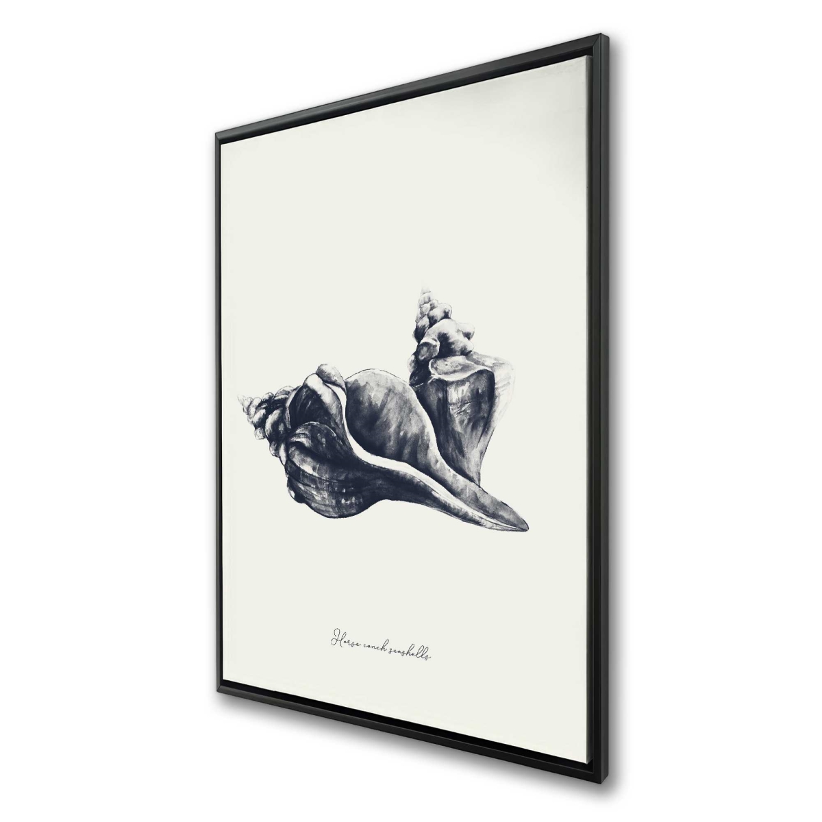 C1FC2436HY37IK 24 x 36 in. Blue Horse Conch Seashells - Framed Canvas Home Decor Art