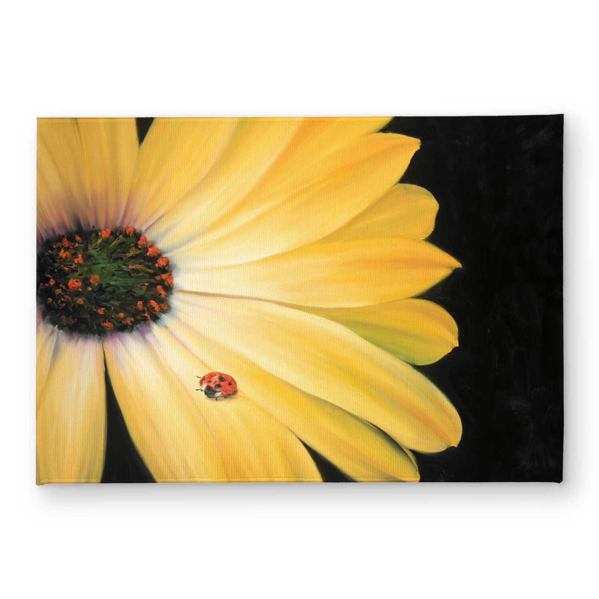 CODM1724CJCKW4 17 x 24 in. Yellow Daisy & Ladybug Door Mat - Contemporary Home Decor