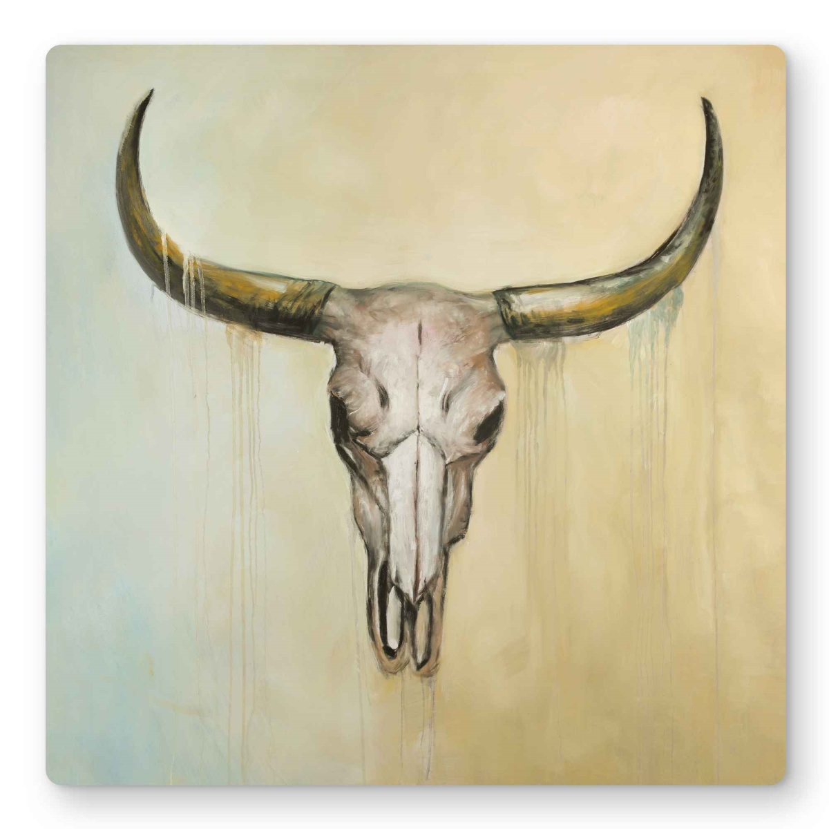 C1MP16169RN9EF 16 x 16 in. Cow Skull Metal Print Wall Art - Unique Animal Decor for Home