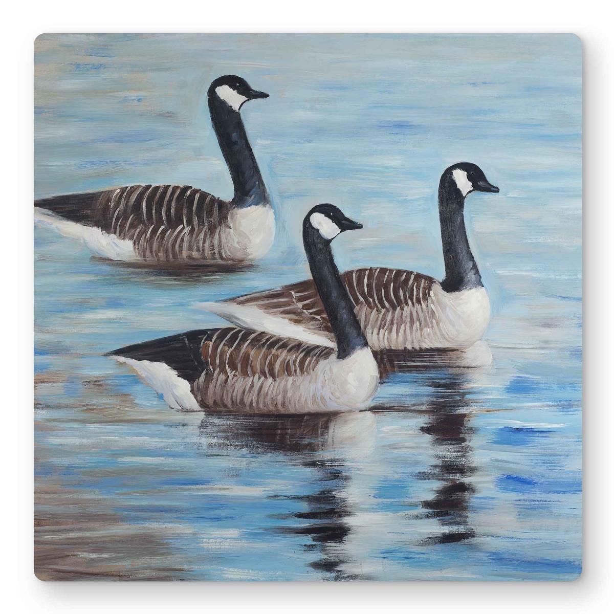 C1MP1616CPNDR0 16 x 16 in. Canada Geese In Water - Rustic Metal Print Wall Art for Man Cave