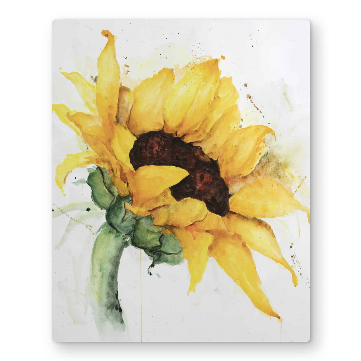 C1MP16204LH7LZ 16 x 20 in. Watercolor Sunflower with Paint Splash Wall Art - Yellow Bedroom Metal Print