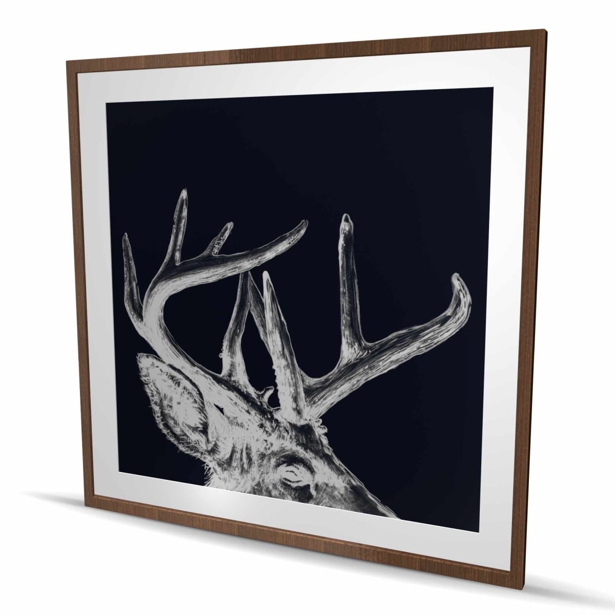 C1FM4848DPMHRM 48 x 48 in. Blue Roe Deer Plume - Blue Holidays Framed Matted Print Wall Art