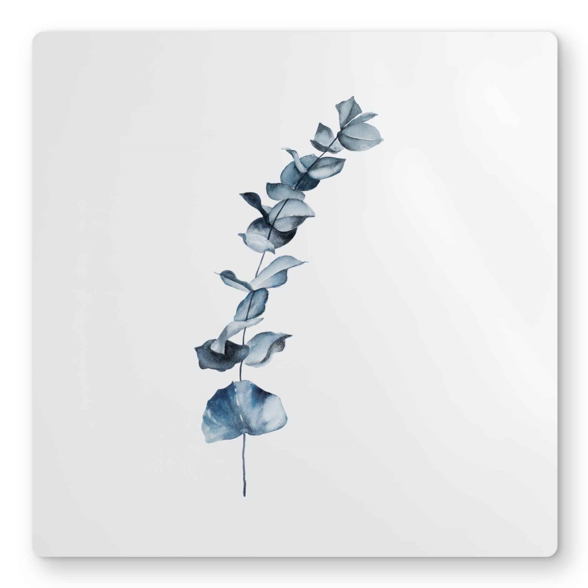 C1MP1616MI4FUG 16 x 16 in. Eucalyptus Blue Leaves Wall Art - Botanical Metal Print