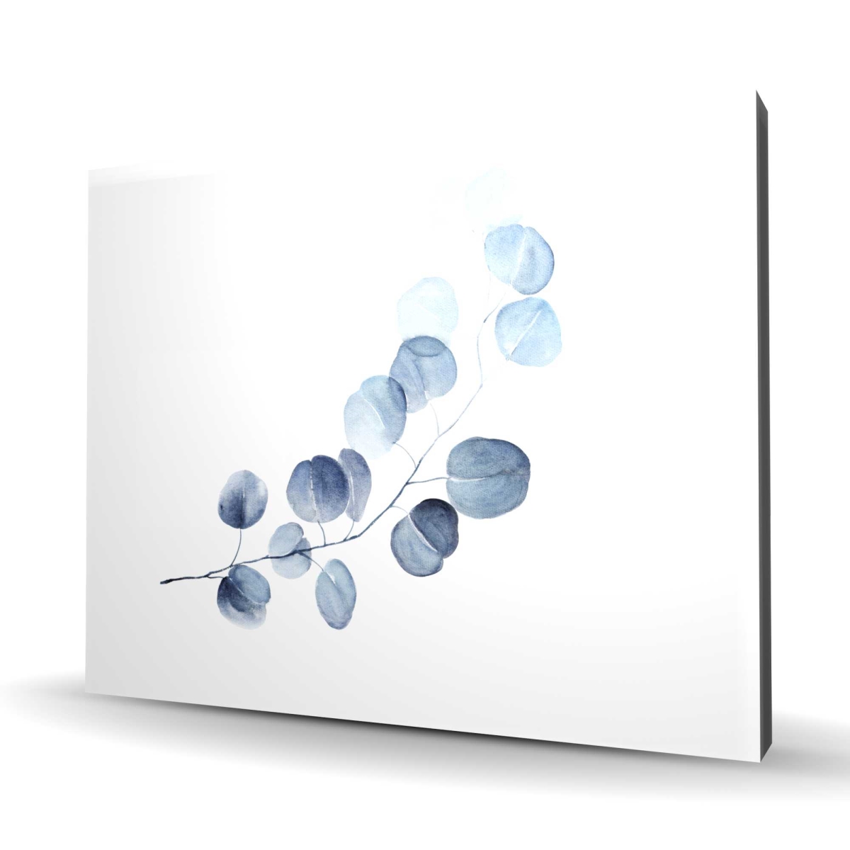 C1RC4860OWUOD5 48 x 60 in. Eucalyptus Branch Botanical Minimalist Canvas for Home Decor