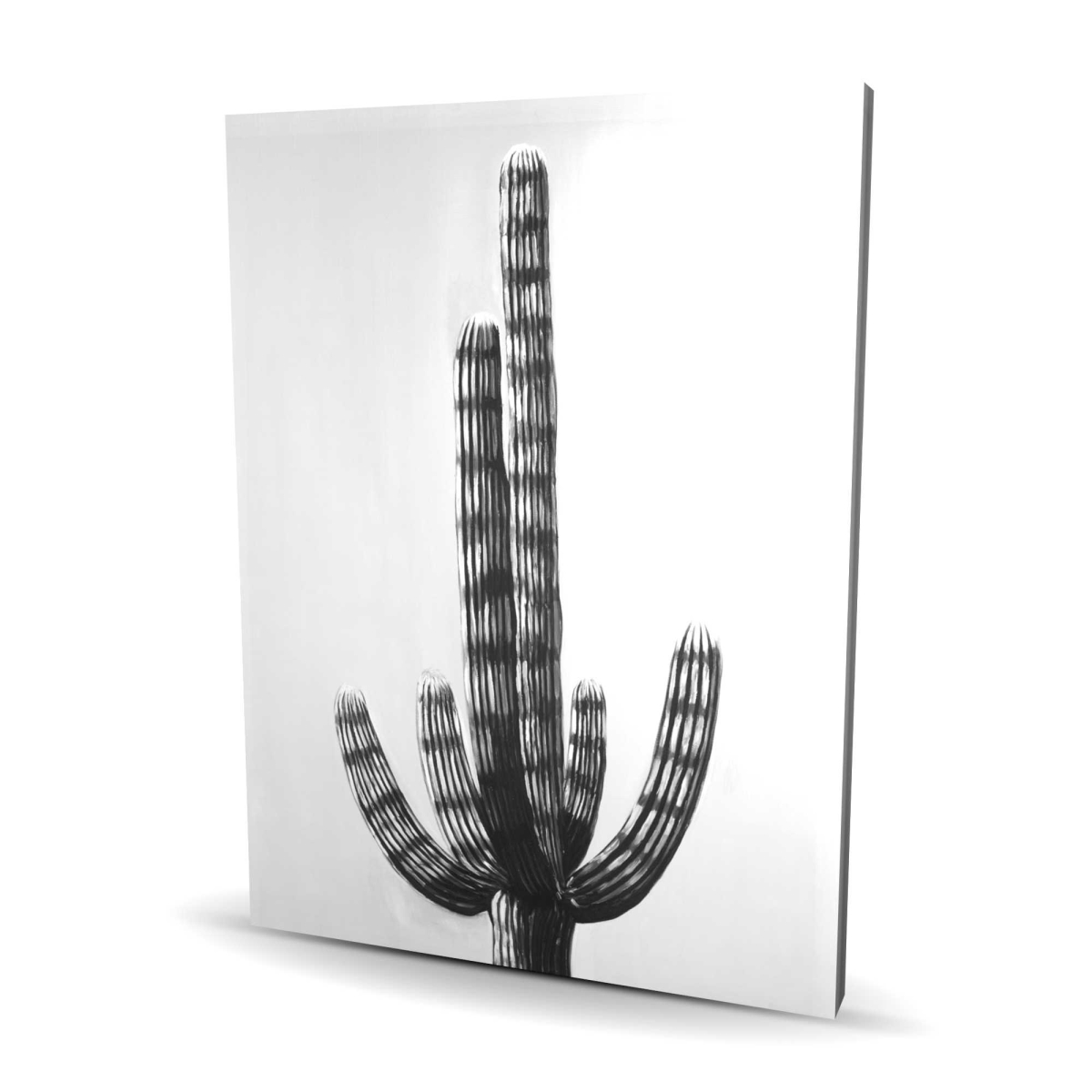 C1RC3648AGIA05 36 x 48 in. Cactus Botanical Canvas - Floral Home Decor Wall Art
