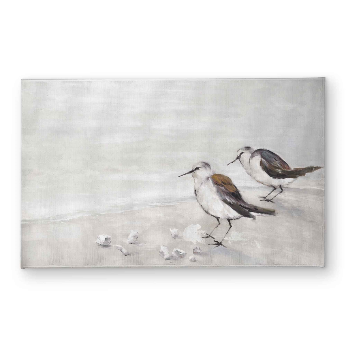 CODM2134UYAVAQ 21 x 34 in. Two Sandpipers Birds Door Mat - Coastal Beach Decor