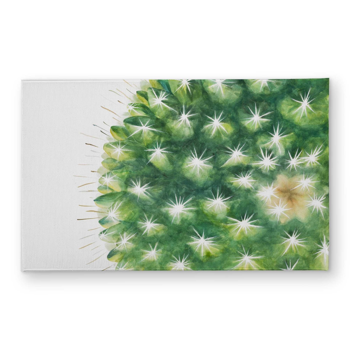CODM2134H80M0D 21 x 34 in. Watercolor Mini Cactus Door Mat - Green Botanical Decor