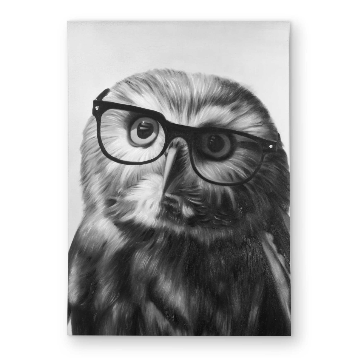 C1ROAR57DNYJVB 5 x 7 ft. Northern Saw-Whet Owl with Glasses - Monochrome Outdoor Rectangle Area Rug