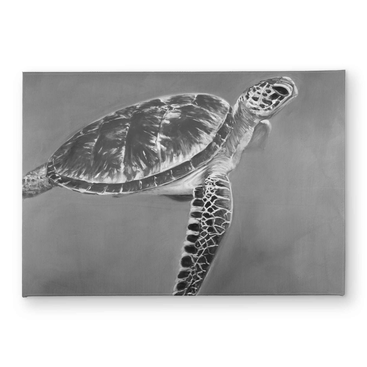 CODM1724UASORH 17 x 24 in. Grayscale Aquatic Turtle Door Mat - Wildlife Home Decor